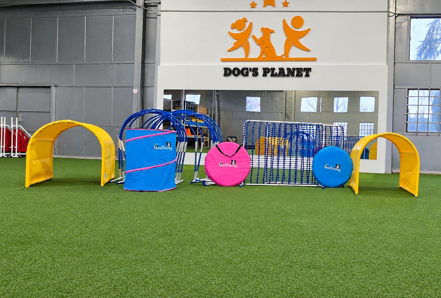 Agility pomôcky pred logom Dog's Planet